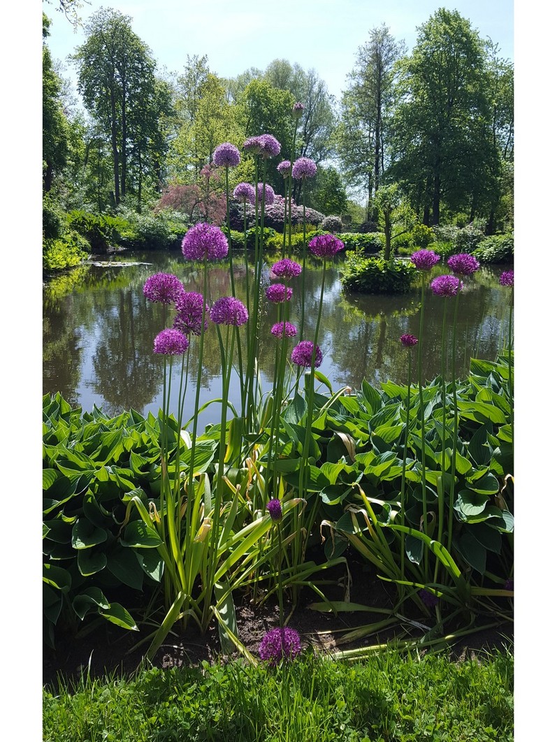 20170515_134345