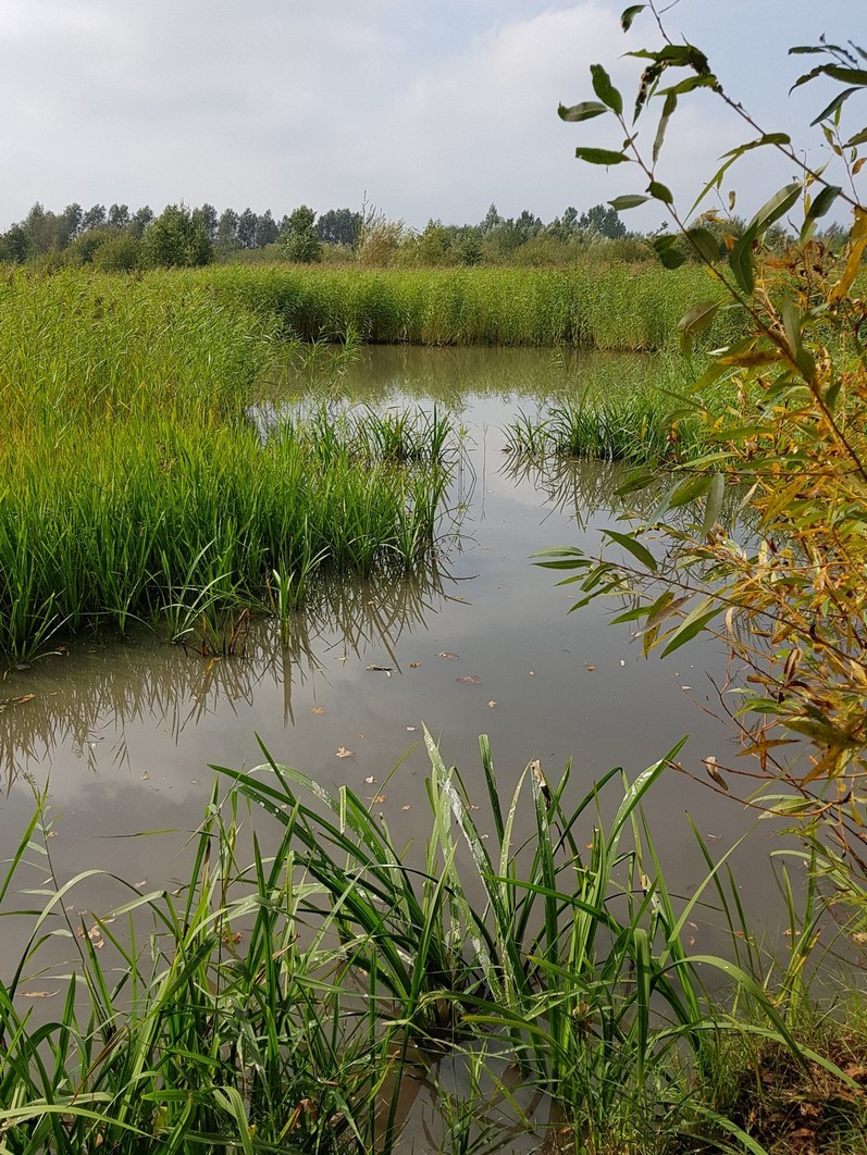Natuurgebied