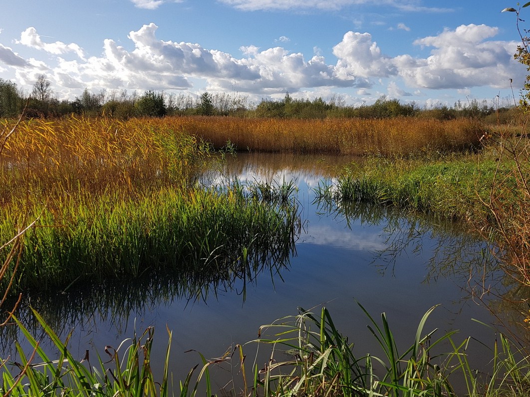 Natuurplas