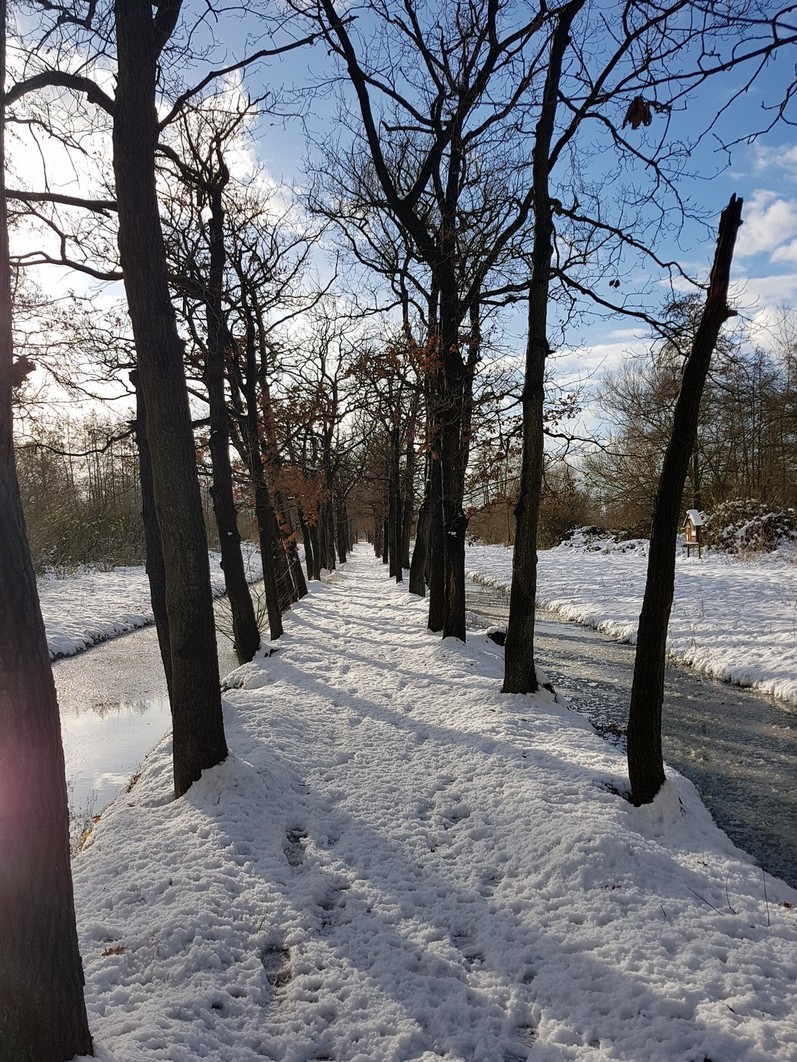 Winter in eikenlaantje