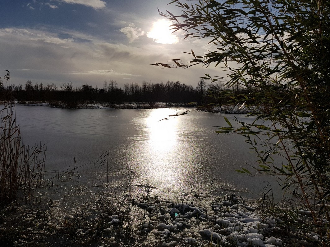 Winter natuurplas
