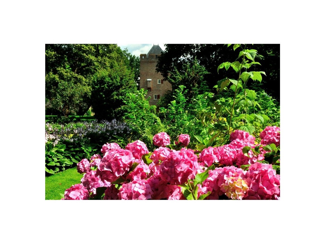 Zomer kleuren